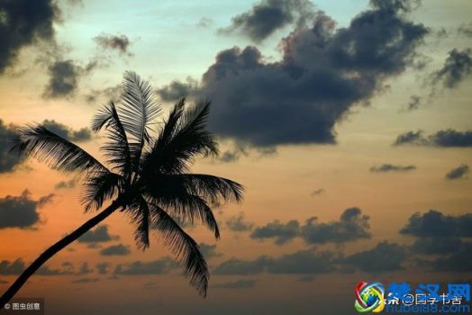  未雨绸缪是什么意思？人生的路上要懂得未雨绸缪