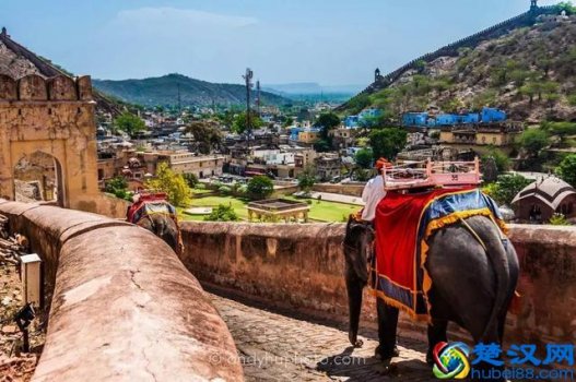 卡农是什么神曲(卡农类型的曲子)