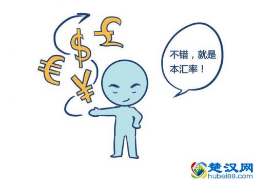  什么是汇率（汇率是由什么决定的）