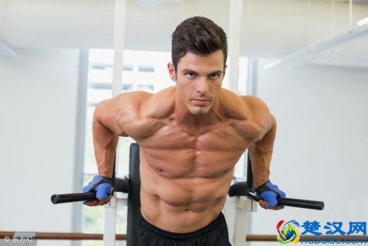 腰子是什么器官(动物腰子有什么功效)