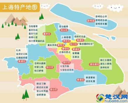  上海有什么特产小吃（推荐几种最适合送人的上海特产）