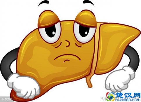  脂肪肝吃什么水果好？6类最好的护肝水果推荐