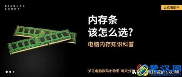  内存条什么牌子好（内存条选购技巧分享）