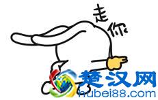  附睾炎吃什么药效果最好（附睾炎有哪些症状）