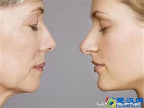 胶原蛋白有什么功效(胶原蛋白的作用)