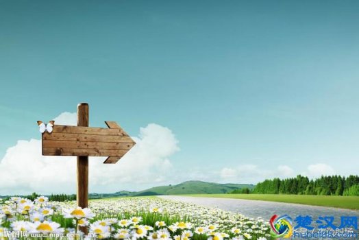 做什么工作能赚大钱(不起眼的暴利小生意)