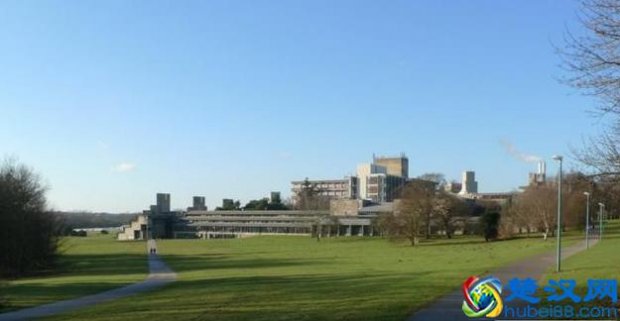  东英吉利大学什么专业最好（东英吉利大学申请条件有哪些）