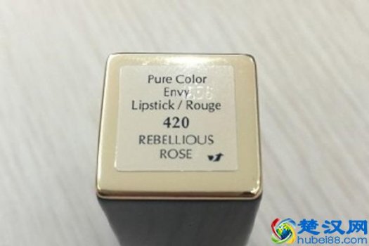  雅诗兰黛唇彩怎么用（雅诗兰黛唇彩哪个颜色好看）