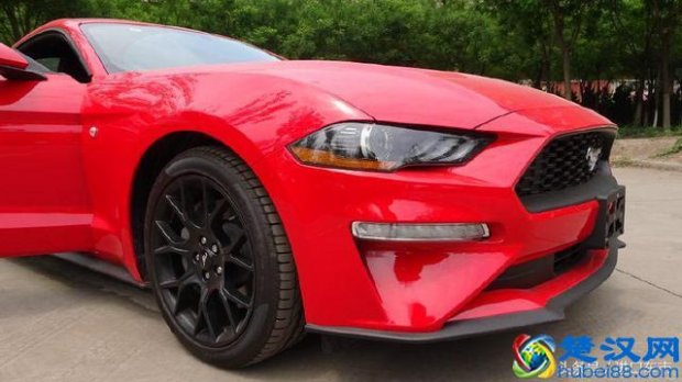  福特野马怎么样好不好（适合中国底盘高的超跑）