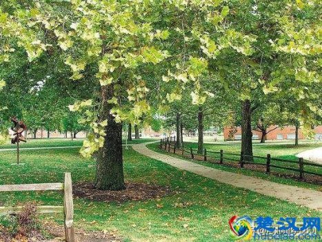 明尼苏达州立大学摩海德分校怎么样(摩海德分校回国认可度怎么样)