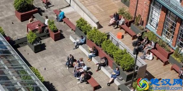 新西兰维多利亚大学怎么样(新西兰维多利亚大学历年世界排名)