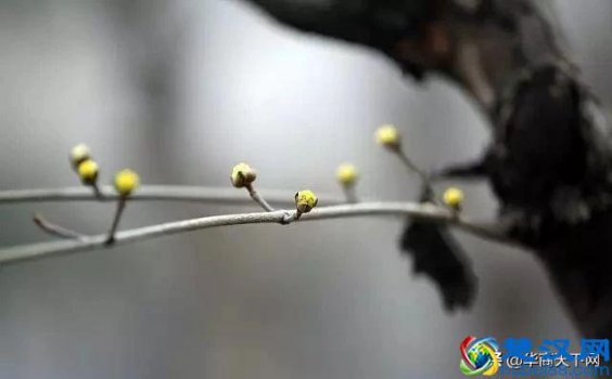  春夏秋冬怎么分月份农历（农历二十四节气是什么）