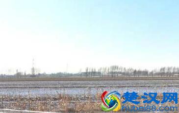  我国农业第三产业是什么（创业者要认清第三产业发展趋势）