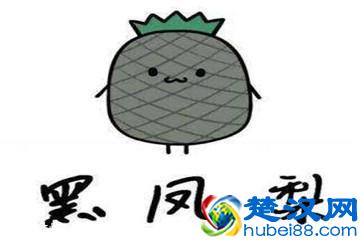  凤梨是什么季节的水果（10人有9人弄错了菠萝与凤梨的区别）