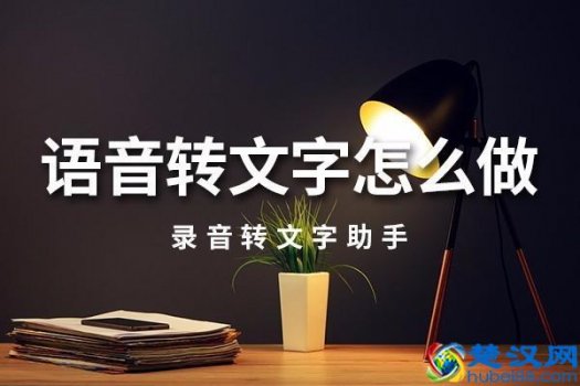  音频转文字软件哪个好（免费音频转文字的app）