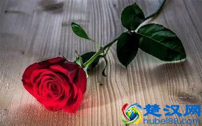  送女人红玫瑰代表什么意思（红玫瑰花语大全）