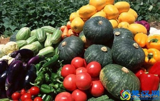  蛇最怕什么植物和花草（农村怕屋里进蛇，种这种花50米之内蛇都不敢来）