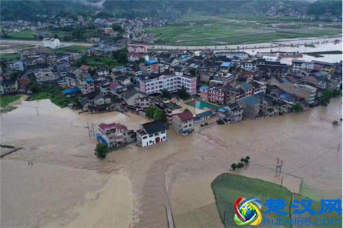  小鱼视频会议系统怎么用（小鱼视频会议使用方法）