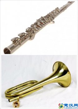  木管乐器有哪些（瞎写写的木管乐器简介）