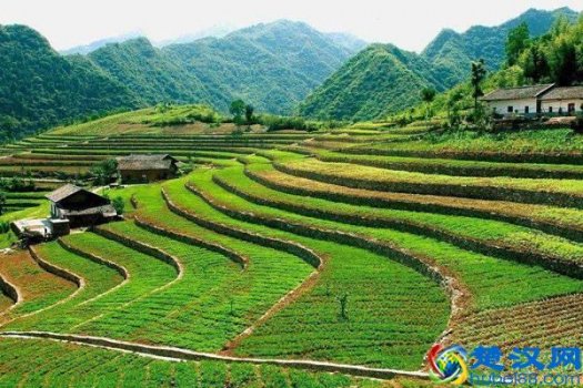  平方米和亩的换算（农村土地单位换算小技巧）