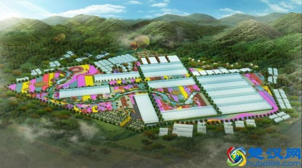  农业项目有哪些（2020年可申报的农业项目有哪些？）