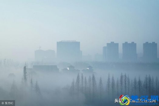  雾是怎么形成的（雾与霾有什么区别？）