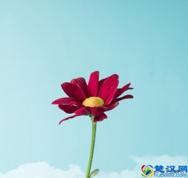  一字千金的意思（人生中最经典的一句话）