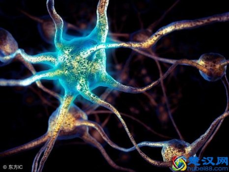  三叉神经痛怎么治疗（做好这4点，也能缓解三叉神经痛）