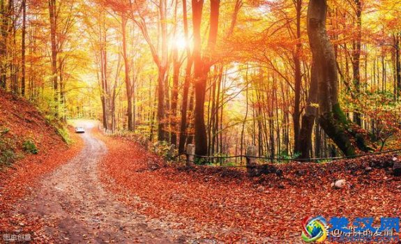  天道酬勤是什么意思（越努力，越幸运）