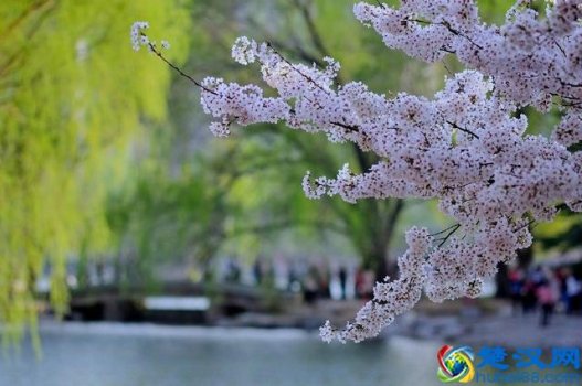  春天的成语有哪些（关于春天的16个成语）