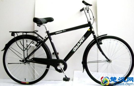  什么自行车好？中国最好的山地车品牌排行