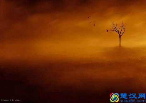  卡片机是什么？推荐一款超好用的卡片机（亲测）