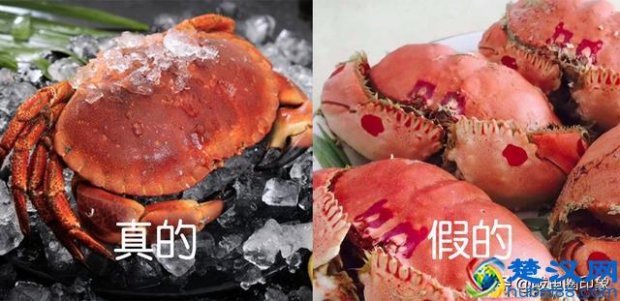  面包蟹多少钱一斤（面包蟹其实价格很便宜）