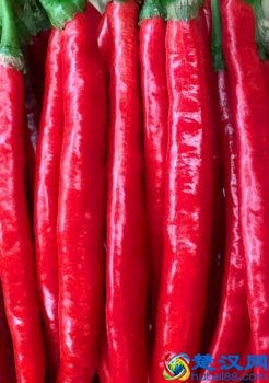  辣椒辣手怎么办（辣椒辣手最快解决办法）
