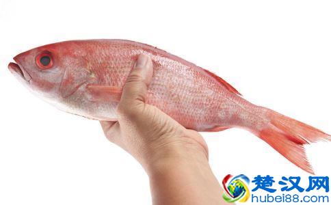  海鱼怎么做好吃 冷冻（无刺的海鱼有哪些品种）