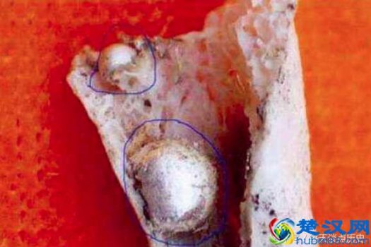  舍利子是什么东西（佛门说的额舍利子到底是什么形成的）