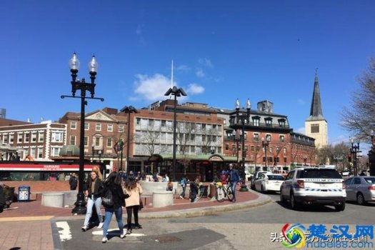  美国哈佛大学图片（哈佛大学校内环境图片分享）