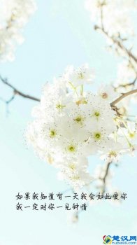  幸运天使的英文怎么写（带天使的女生网名）