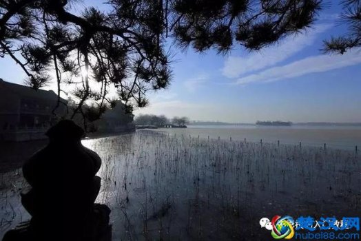  拍摄广角是什么意思（什么是广角镜头）