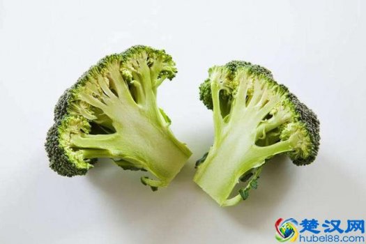  什么叫有机食品（你知道什么叫做有机蔬菜吗）