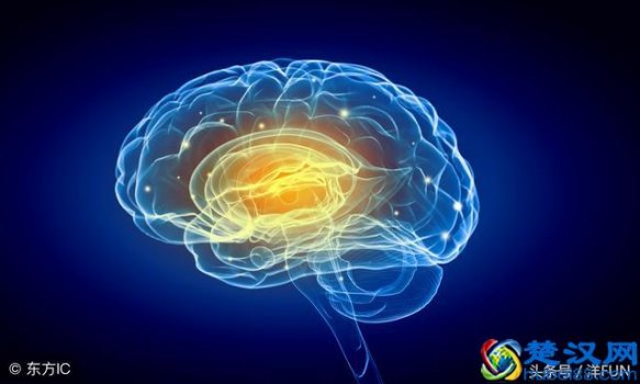  洗脑是什么意思（什么性格的人容易被人洗脑）