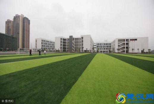  学校精神文化（学校精神文化包括）