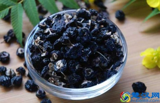  野生黑枸杞多少钱一斤（黑枸杞和红枸杞哪个好）