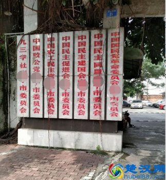  中国有多少党派组织（中国大陆有多少民主党派）