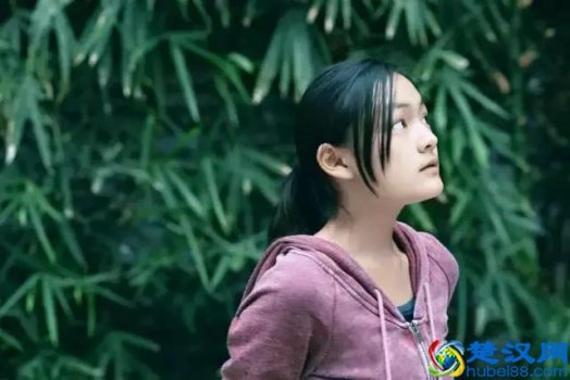  嘉年华是什么意思活动名字（电影嘉年华真实结局）