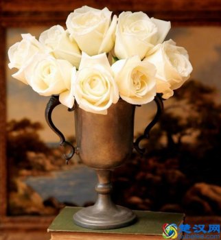  白玫瑰代表什么象征意义（送女友白玫瑰好还是红玫瑰好）