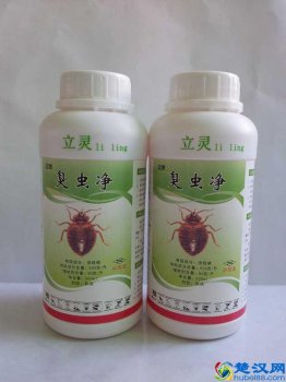 臭虫怕什么气味的杀虫药(防治臭虫的一些建议)