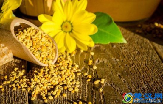 蜂蜡是什么东西做成的(蜂蜡的10大妙用)