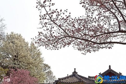  欲擒故纵的意思（欲擒故纵释义！）