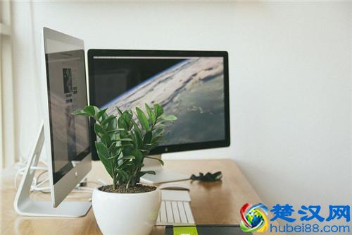  艾叶泡脚的作用有哪些（艾叶的用途至少有这7个）